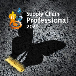 Supply Chain Professional